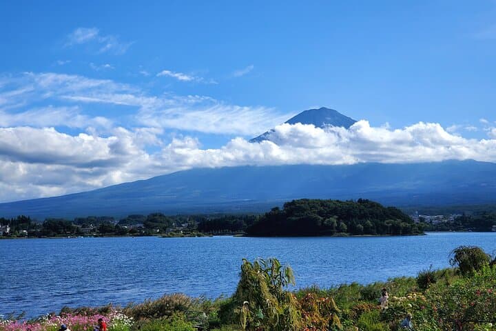 Mount Fuji Full-Day Private Tour from Yokohama Customizable — photo 8