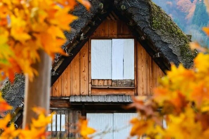 Shirakawago, Gujo Hachiman and Hida Takayama Day Tour — photo 2