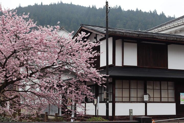 Shirakawago, Gujo Hachiman and Hida Takayama Day Tour — photo 5