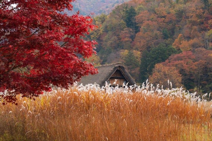 Shirakawago, Gujo Hachiman and Hida Takayama Day Tour — photo 6
