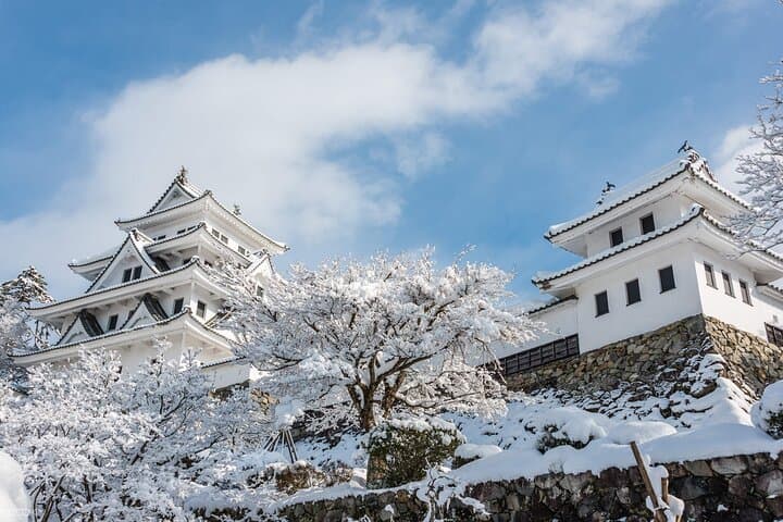 Shirakawago, Gujo Hachiman and Hida Takayama Day Tour — photo 9