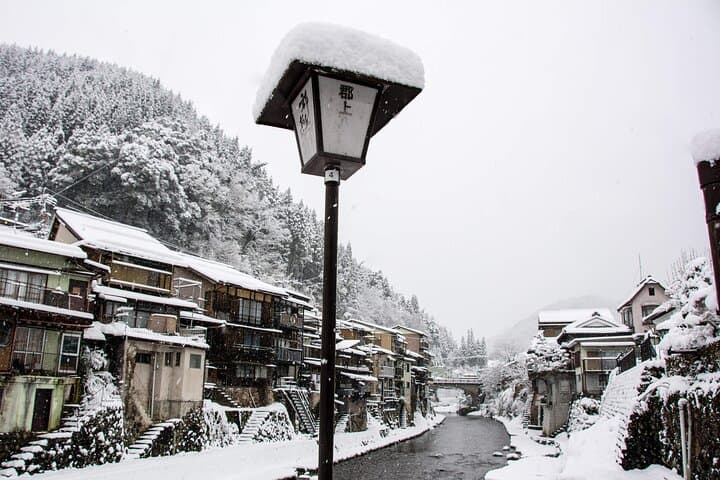 Shirakawago, Gujo Hachiman and Hida Takayama Day Tour — photo 10