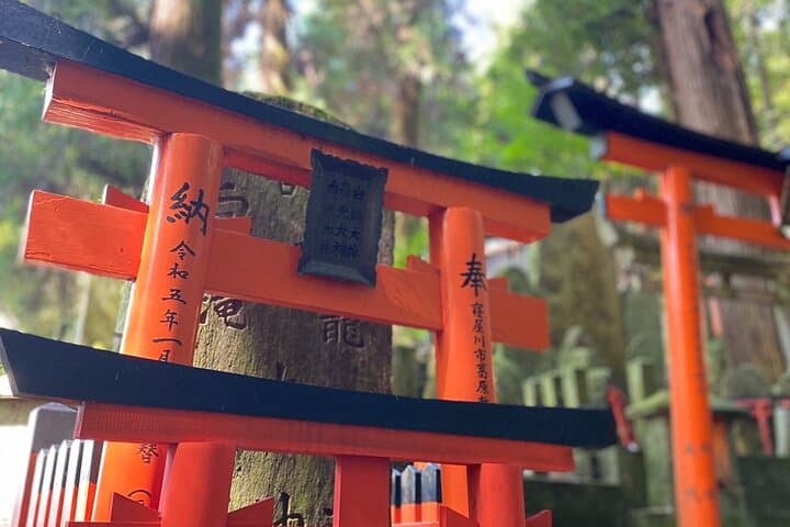 Inside of Fushimi Inari - exploring and lunch with locals — photo 12