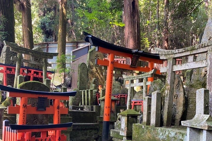 Inside of Fushimi Inari - exploring and lunch with locals — photo 20
