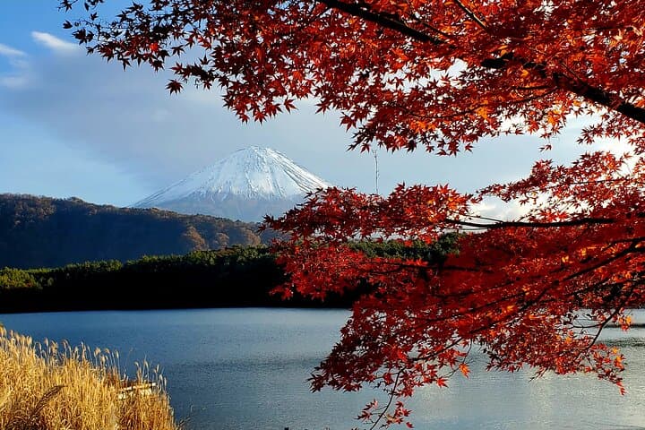 Mount Fuji Full-Day Private Tour from Tokyo (Customizable) — photo 6