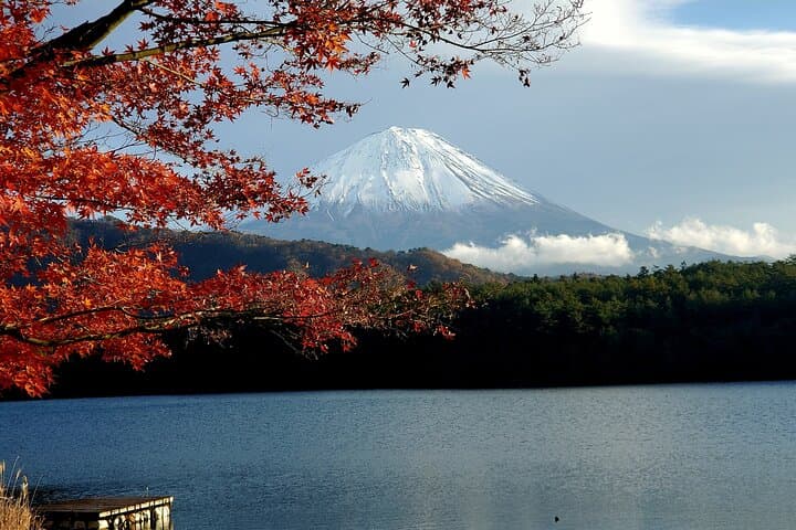 Mount Fuji and Hakone Private Tour from Tokyo (Customizable) — photo 5
