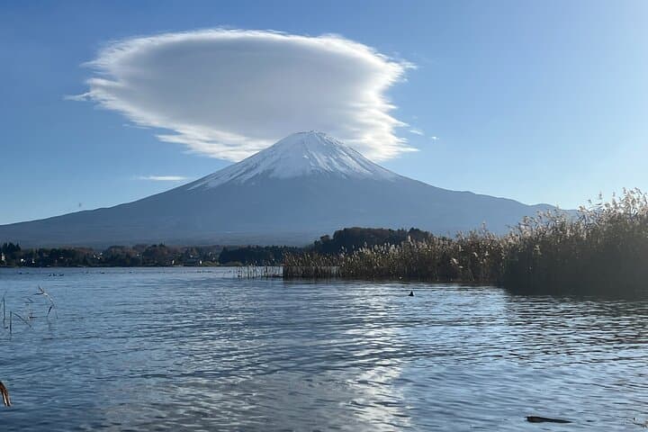 Scenic Fuji Escape: Hakone, Peace Park & More by Green Plate Car — photo 2