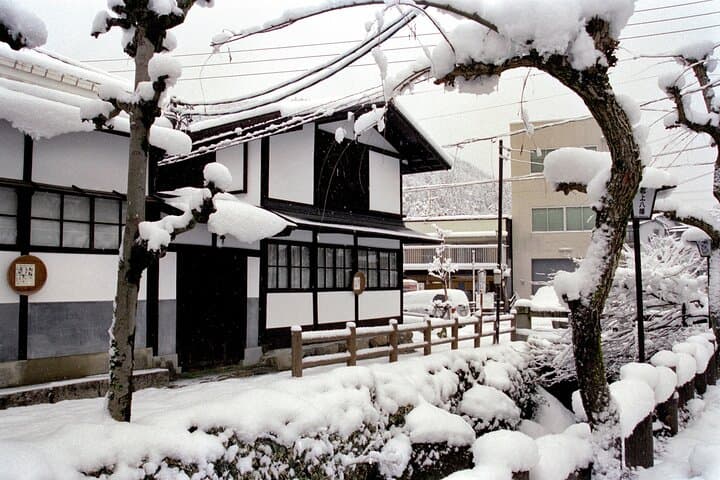 Gujo, Hida Takayama, and Shirakawa-go Day Tour from Nagoya — photo 14