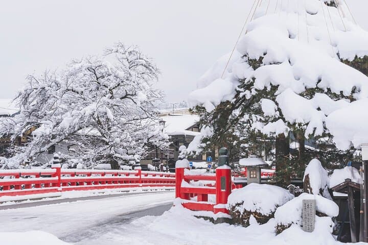 Gujo, Hida Takayama, and Shirakawa-go Day Tour from Nagoya — photo 18