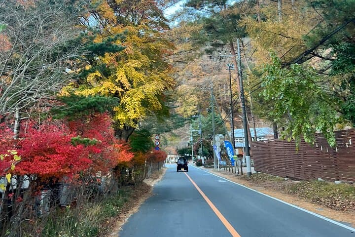 Fun Trail in Tokyo — photo 3