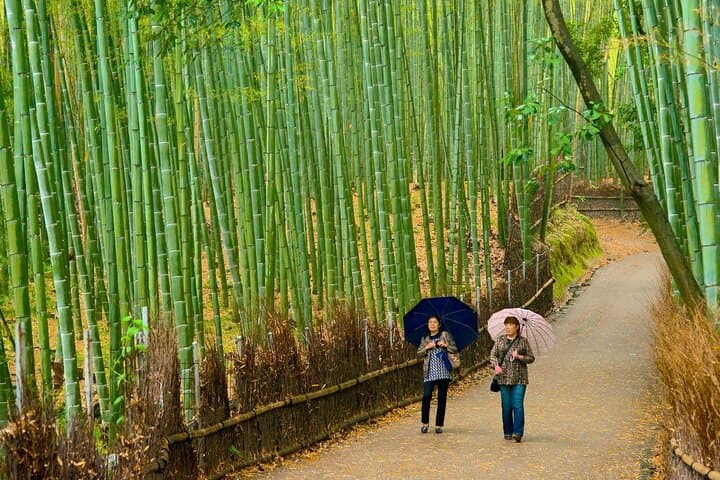 Kyoto Arashiyama Fushimi Inari Taisha Shrine and Nara Park Tour — photo 4