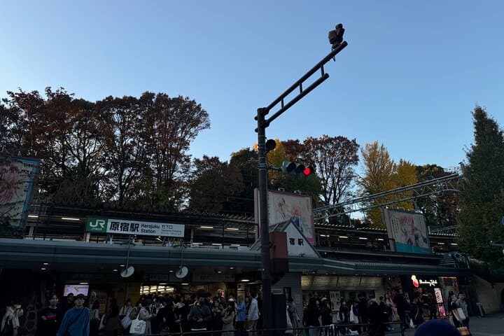 Shibuya and Harajuku Highlights Walking Tour — photo 5