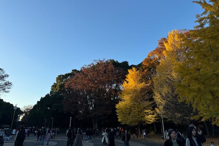 Shibuya and Harajuku Highlights Walking Tour — photo 6
