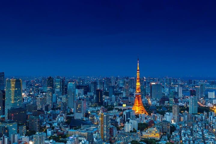 Tokyo City Ride by Luxury Green Plate Car - custom destination — photo 6