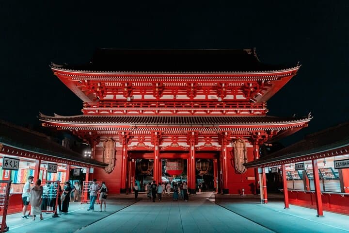 Tokyo Private Tour by Luxury Green Plate Car with Guide — photo 8