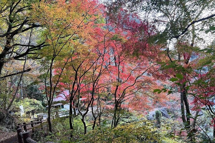 Day Trip Shosen Valley from Tokyo — photo 19