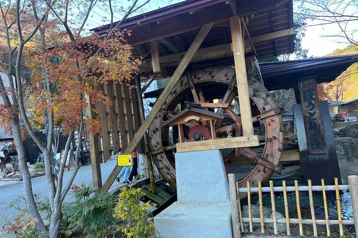 Day Trip Shosen Valley from Tokyo — photo 9