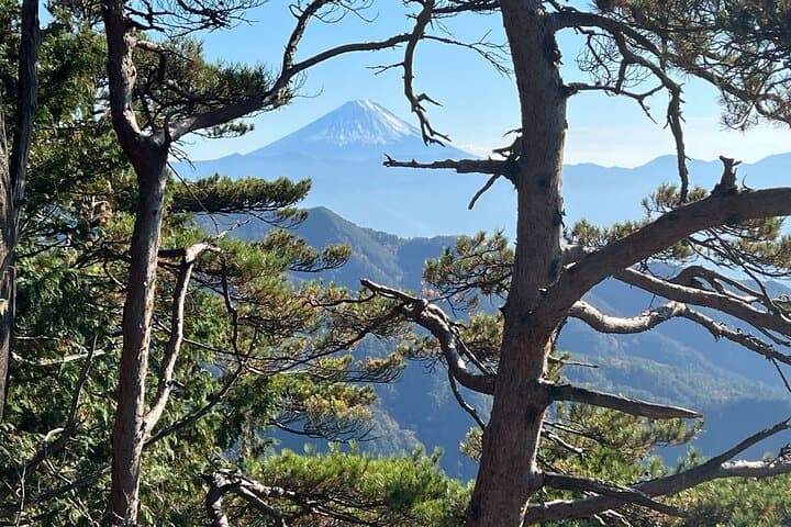 Day Trip Shosen Valley from Tokyo — photo 5