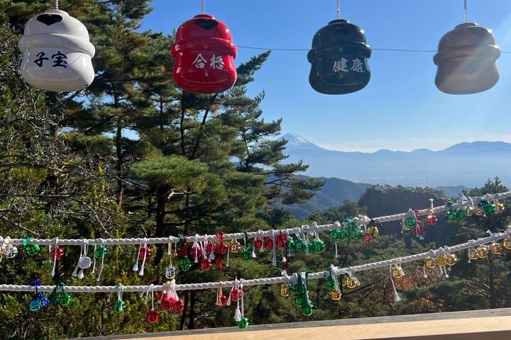 Day Trip Shosen Valley from Tokyo — photo 14