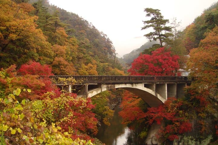 Day Trip Shosen Valley from Tokyo — photo 20