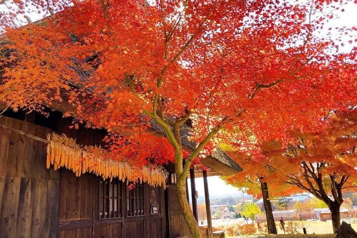 Mount Fuji and Iconic Scenic Spots Day Tour — photo 3