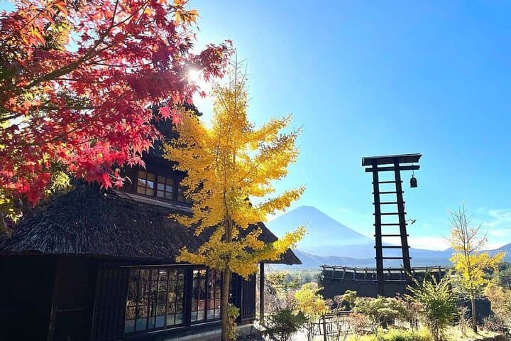 Mount Fuji and Iconic Scenic Spots Day Tour — photo 5