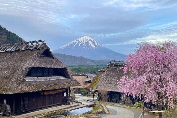 Mount Fuji and Iconic Scenic Spots Day Tour — photo 7