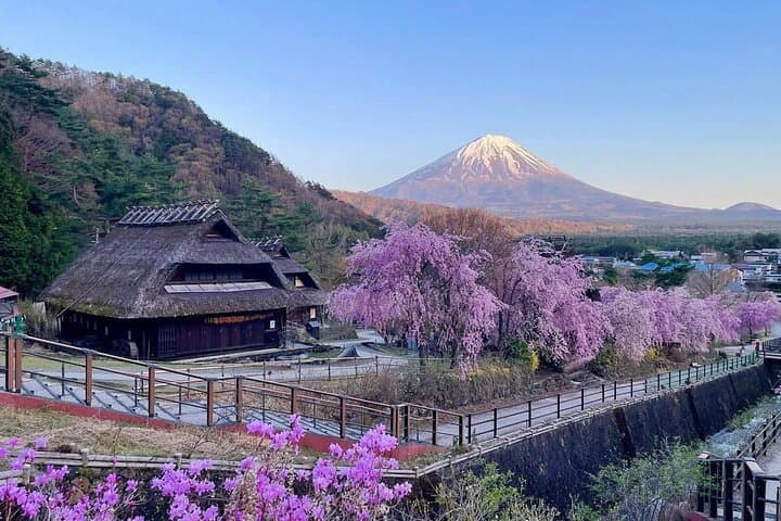Mount Fuji and Iconic Scenic Spots Day Tour — photo 8