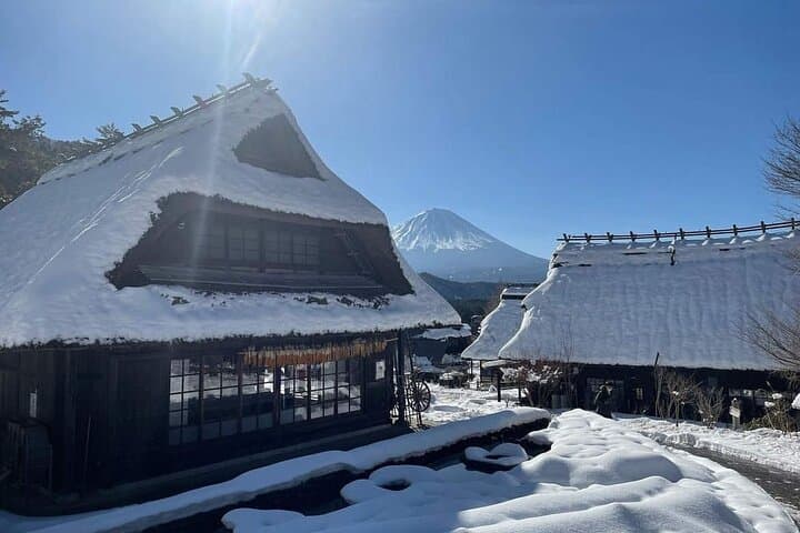 Mount Fuji and Iconic Scenic Spots Day Tour — photo 9