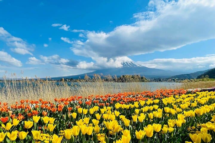 Mount Fuji and Iconic Scenic Spots Day Tour — photo 2