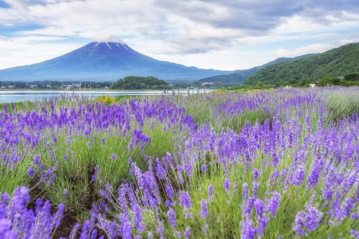 Mount Fuji and Iconic Scenic Spots Day Tour — photo 12