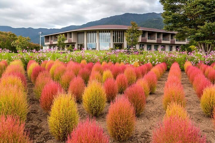 Mount Fuji and Iconic Scenic Spots Day Tour — photo 13