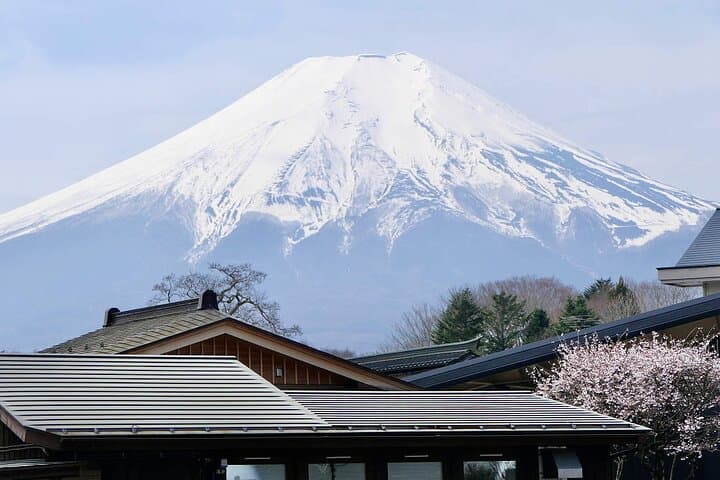 Mount Fuji and Iconic Scenic Spots Day Tour — photo 17