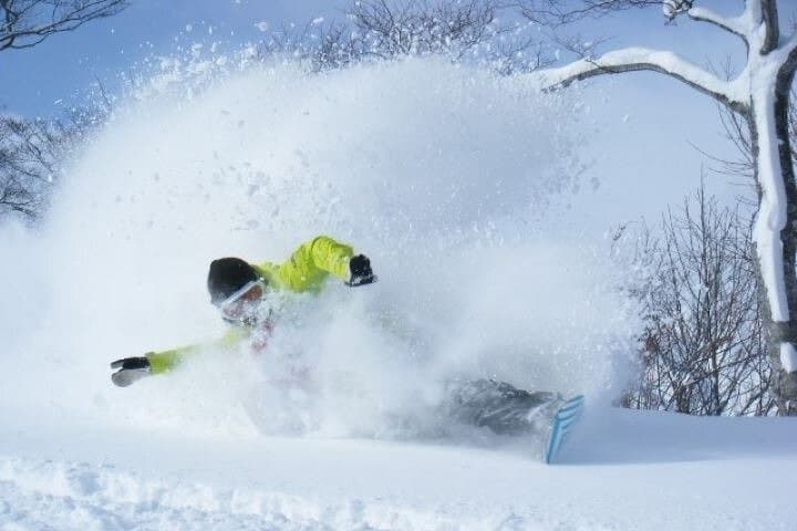 Snowliner from Narita to Hakuba — photo 2