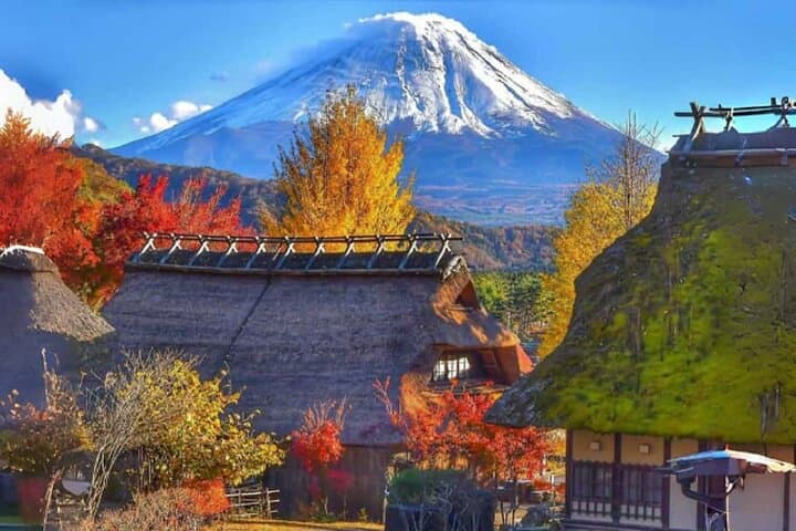 Mount Fuji Day Tour:Lake Kawaguchi, HealingVillage,Oshino Hakkai — photo 2