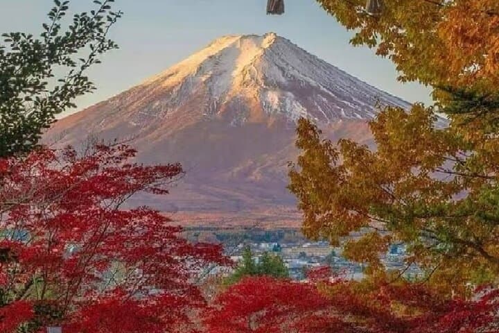 Mount Fuji Day Tour:Lake Kawaguchi, HealingVillage,Oshino Hakkai — photo 6