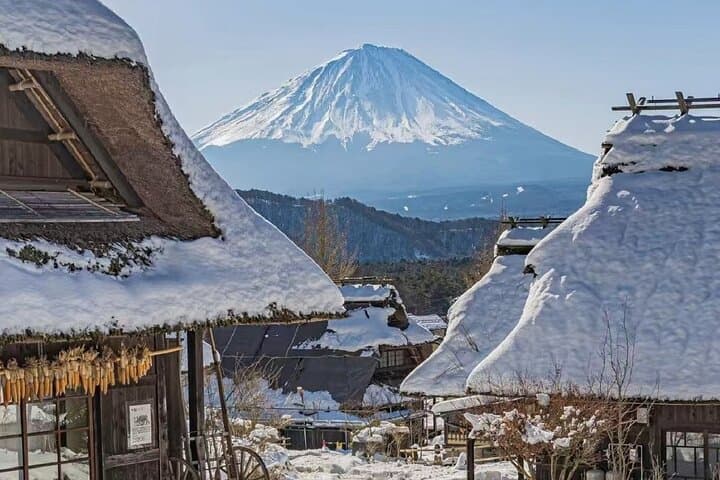 Mount Fuji Day Tour:Lake Kawaguchi, HealingVillage,Oshino Hakkai — photo 5