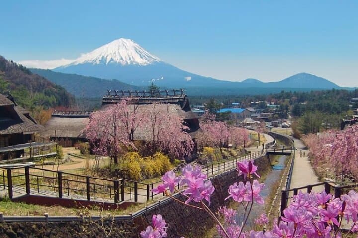 Mount Fuji Day Tour:Lake Kawaguchi, HealingVillage,Oshino Hakkai — photo 9