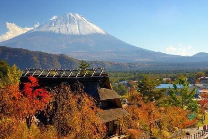 Mount Fuji Day Tour:Lake Kawaguchi, HealingVillage,Oshino Hakkai — photo 10
