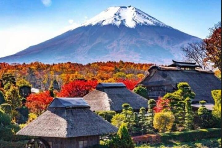 Mount Fuji Day Tour:Lake Kawaguchi, HealingVillage,Oshino Hakkai — photo 11