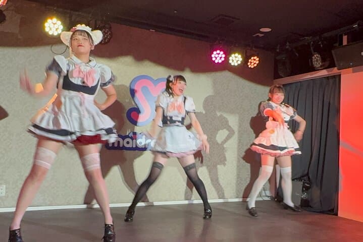 Akihabara Private Tour for Anime Fans — photo 5
