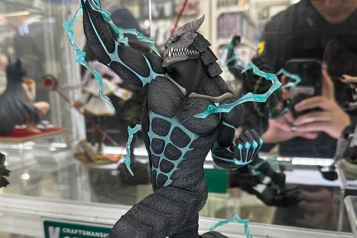 Akihabara Private Tour for Anime Fans — photo 12