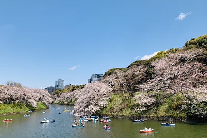 Tokyo Imperial Palace and Heritage of Edo Castle Private Tour — photo 3