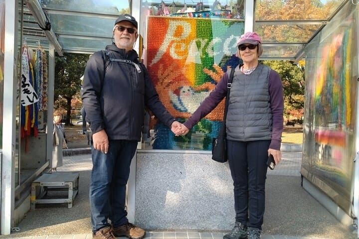 4 Hour Private Hiroshima City Walking Tour — photo 9