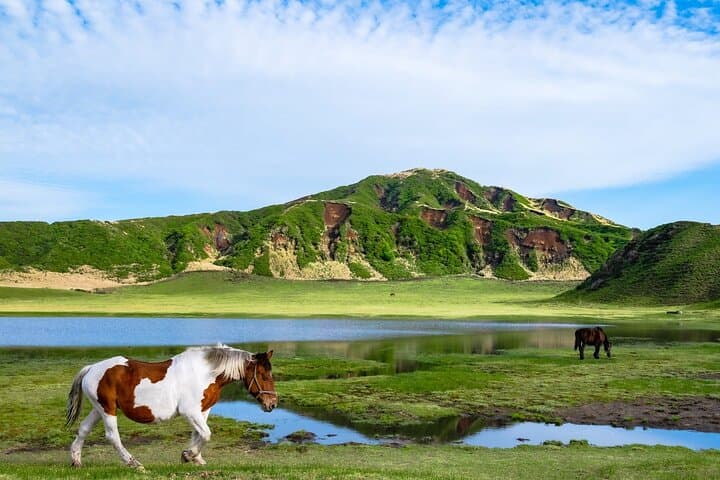 Fukuoka: Mount Aso Volcano, Kumamoto Castle, Grasslands Day Tour — photo 5