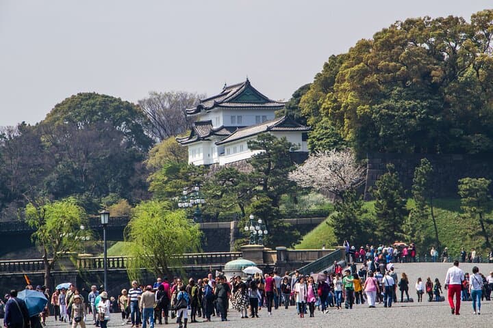 Full Tokyo: Meiji Shrine, Imperial Palace, Asakusa & Skytree — photo 11