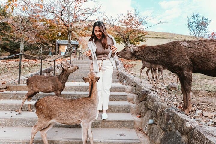 Nara Park, Osaka & Kobe from Kyoto Full Day tour — photo 6