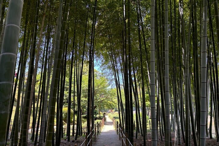 Hiroshima’s Heart: A 4-Hour Private Storytelling Walk — photo 11