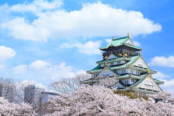 10 Hours Private City Tour in Osaka - Chartered Tour — photo 10