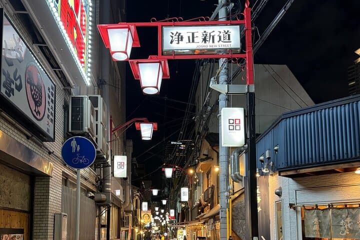 Osaka: Local-Favorite Bar Hopping in Fukushima & Tenma — photo 10